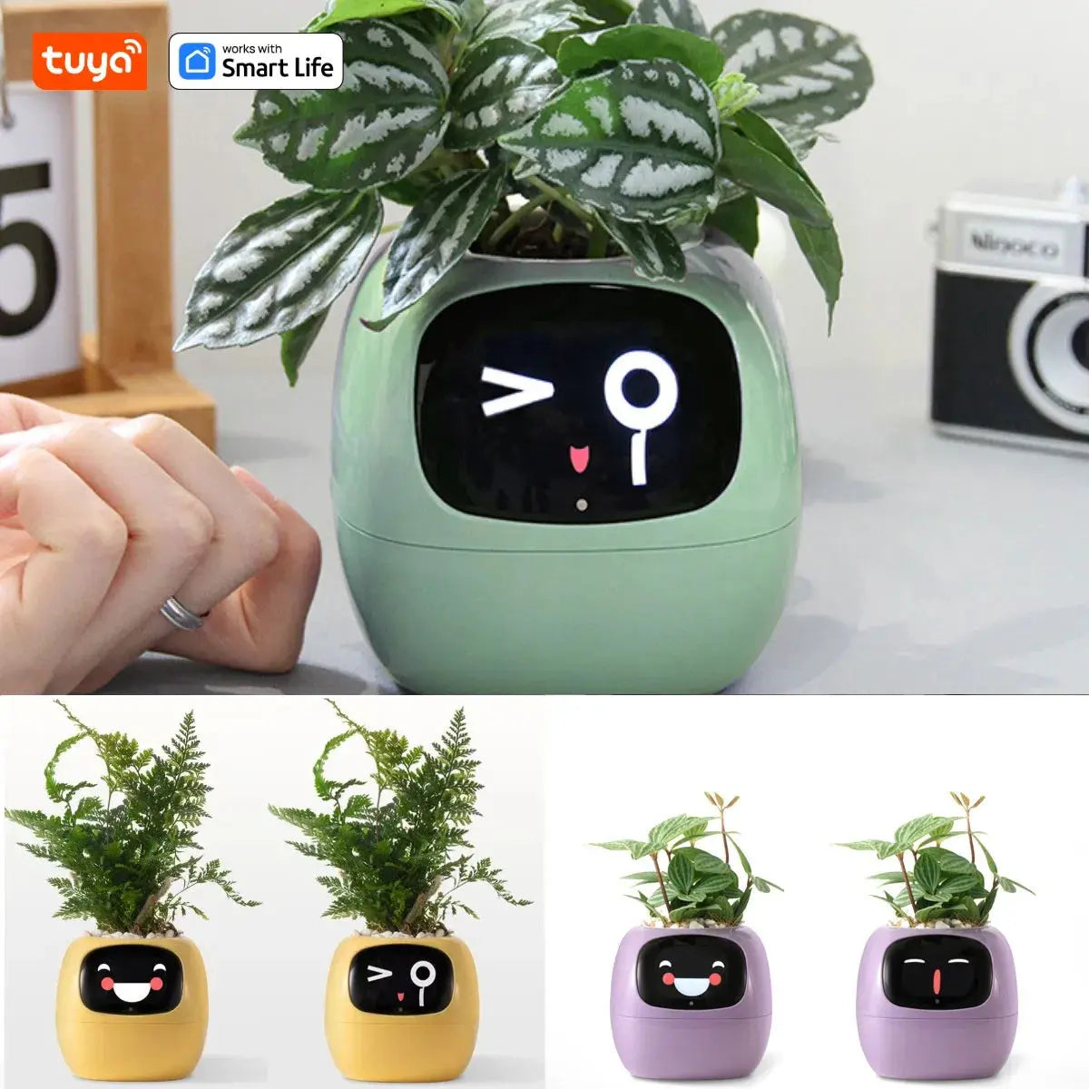 Tuya Ivy Smart Planter Pantefa