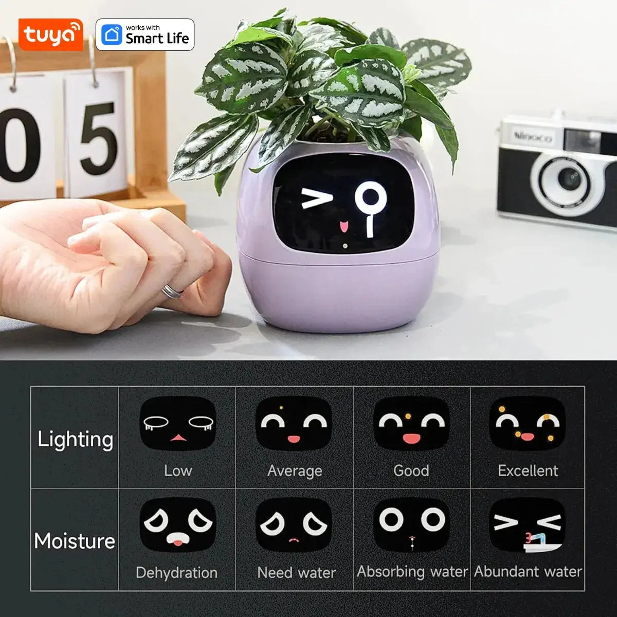 Tuya Ivy Smart Planter Pantefa