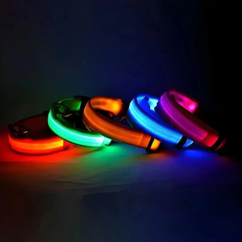 LED Night Safety Dog Collar Pantefa