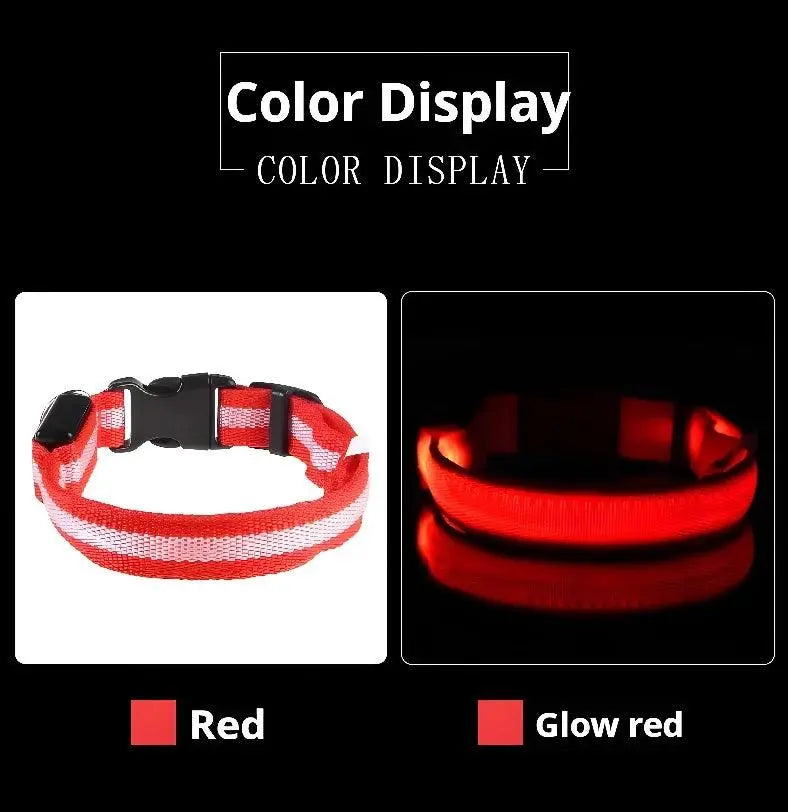 LED Night Safety Dog Collar Pantefa