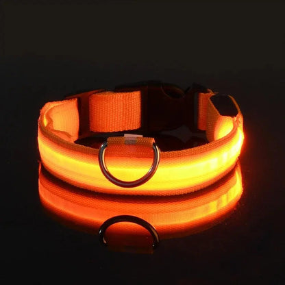 LED Night Safety Dog Collar Pantefa