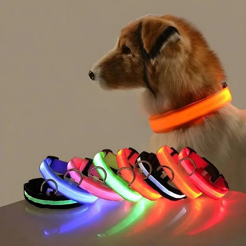 LED Night Safety Dog Collar Pantefa