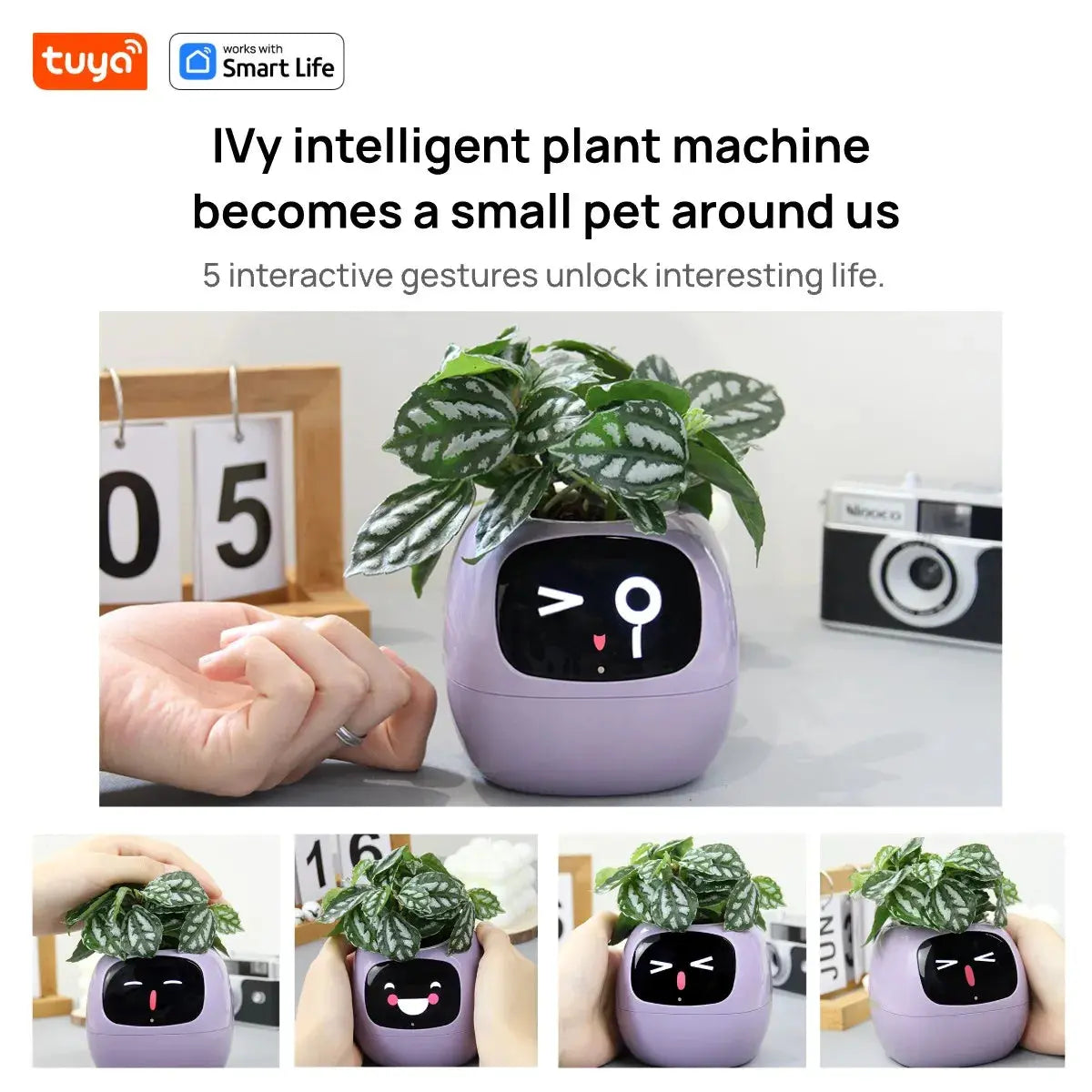 Tuya Ivy Smart Planter Pantefa